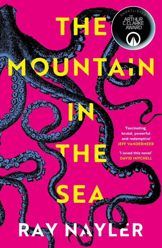 The Mountain In The Sea