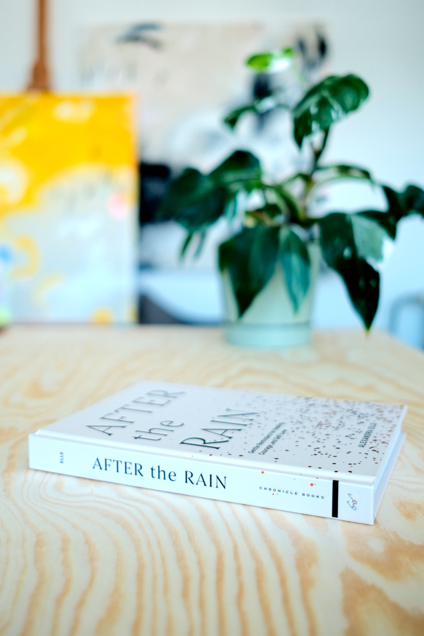 After The Rain | second-hand