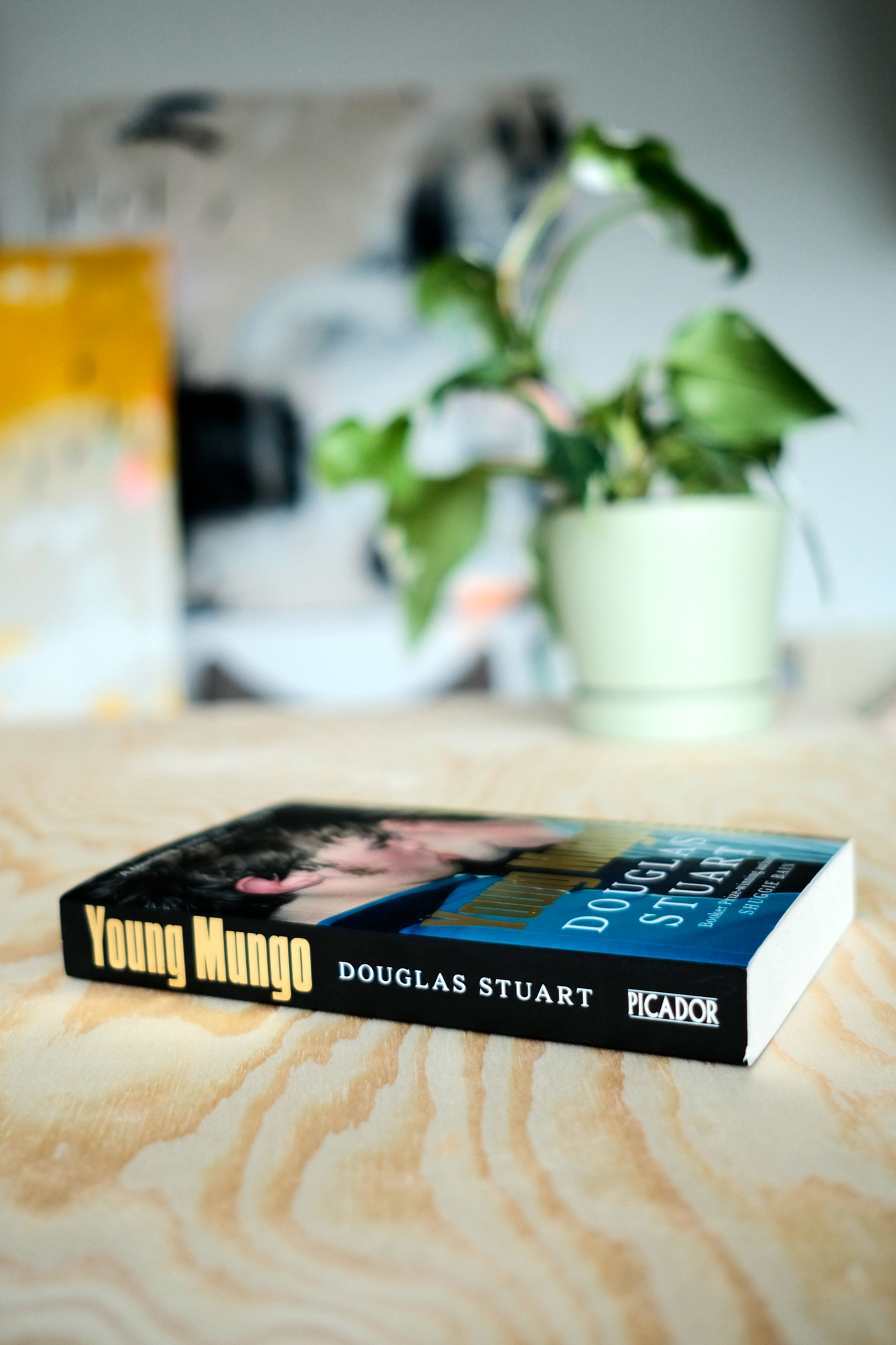 Young Mungo | second-hand