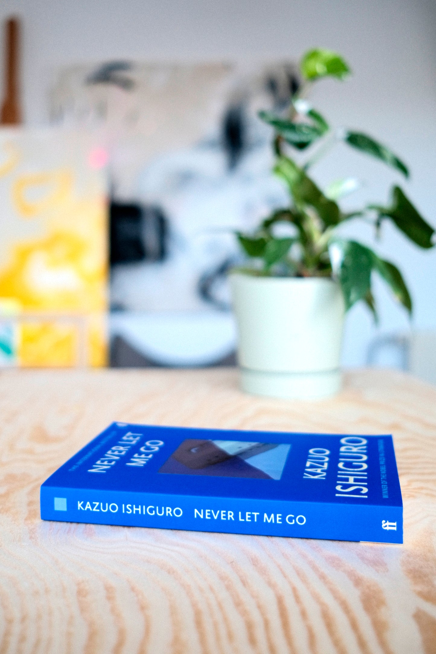Never Let Me Go | second-hand