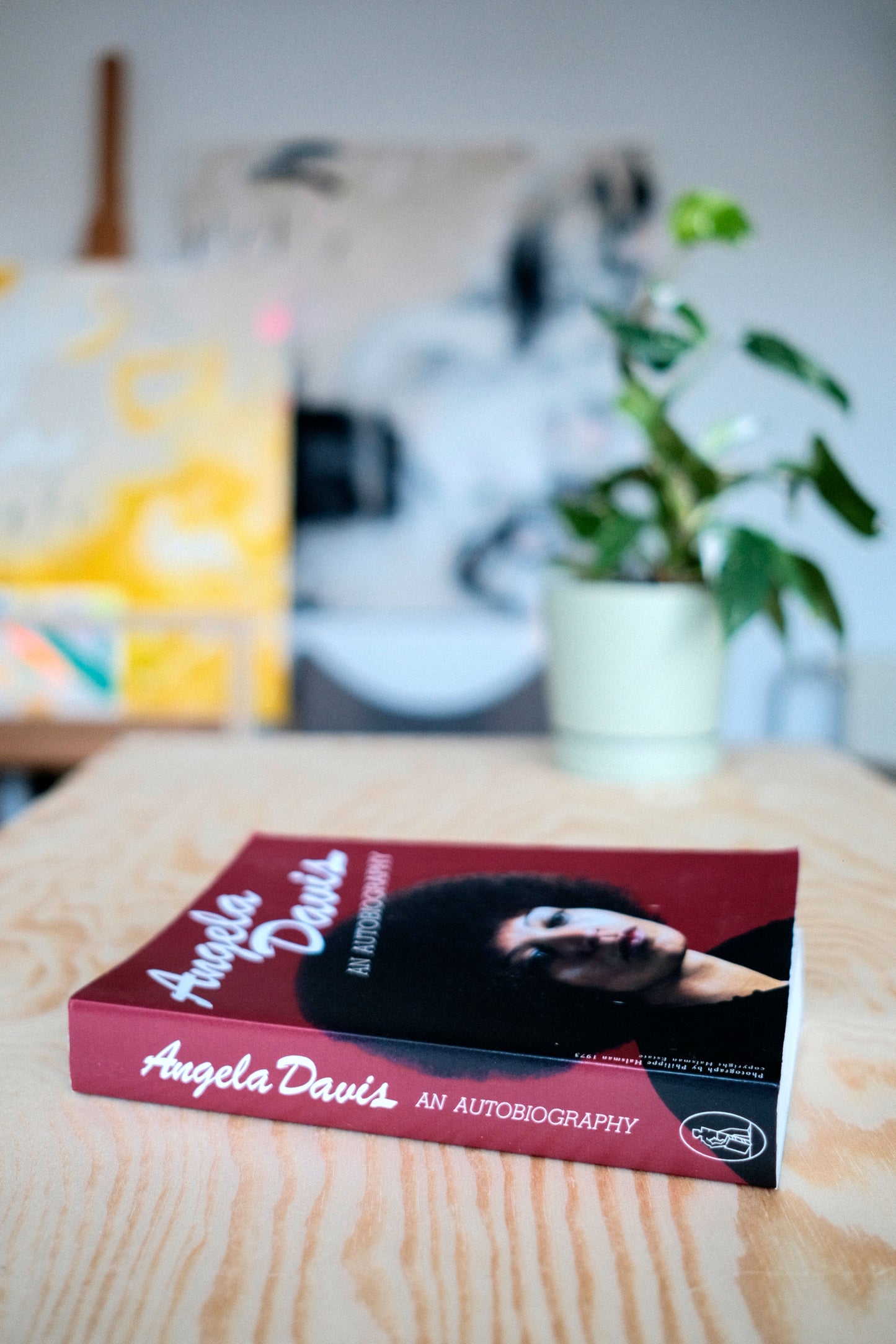 Angela Davis An Autobiography | second-hand
