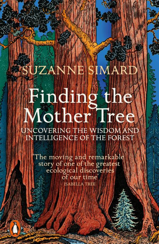 Finding The Mother Tree