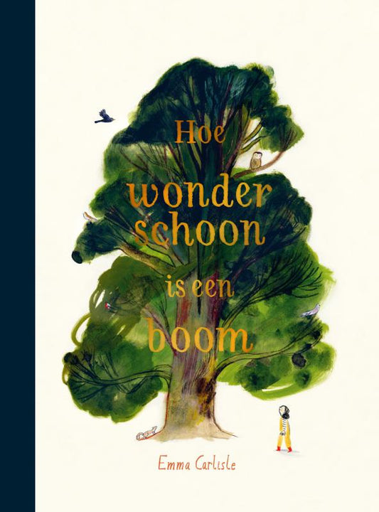 Hoe Wonderschoon Is Een Boom