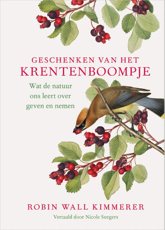 Geschenken Van Het Krentenboompje