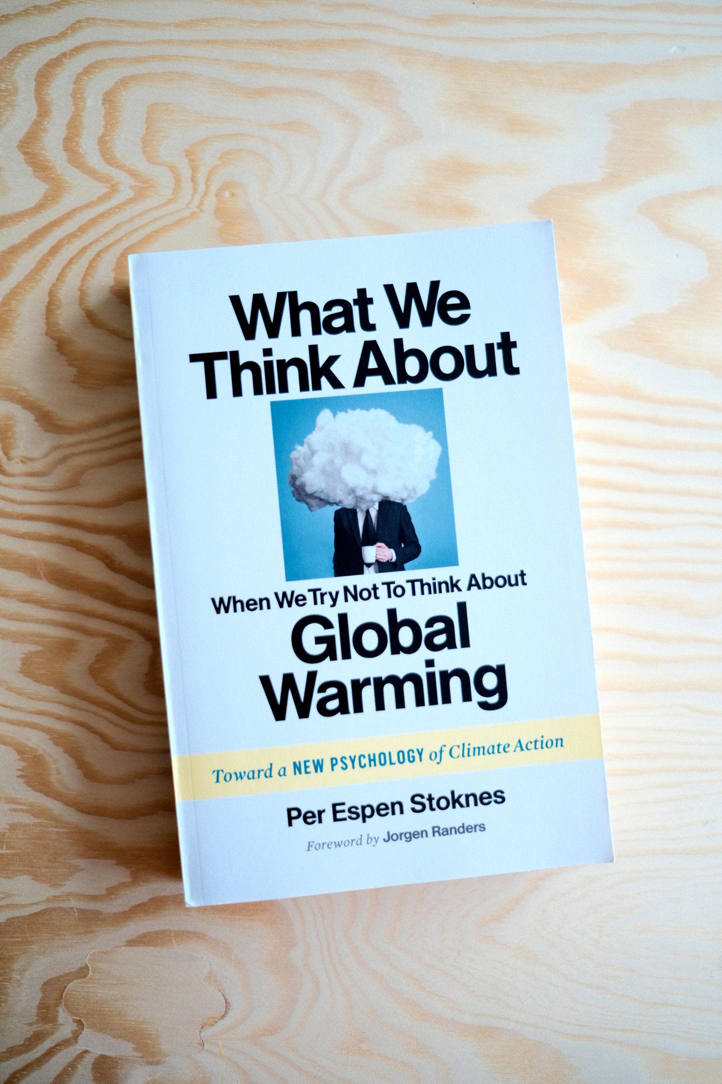 What We Think About When We Try Not To Think About Global Warming | second-hand