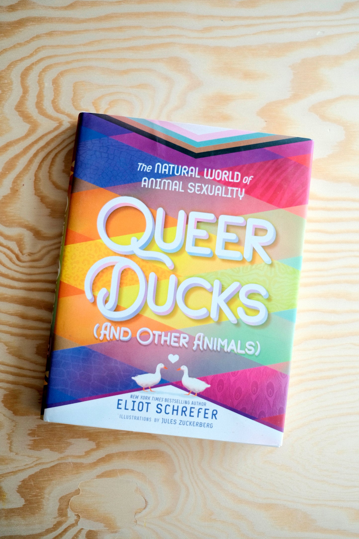 Queer Ducks | second-hand