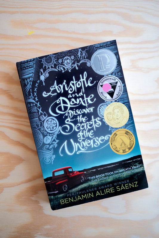 Aristotle And Dante Discover The Secrets Of The Universe | second-hand