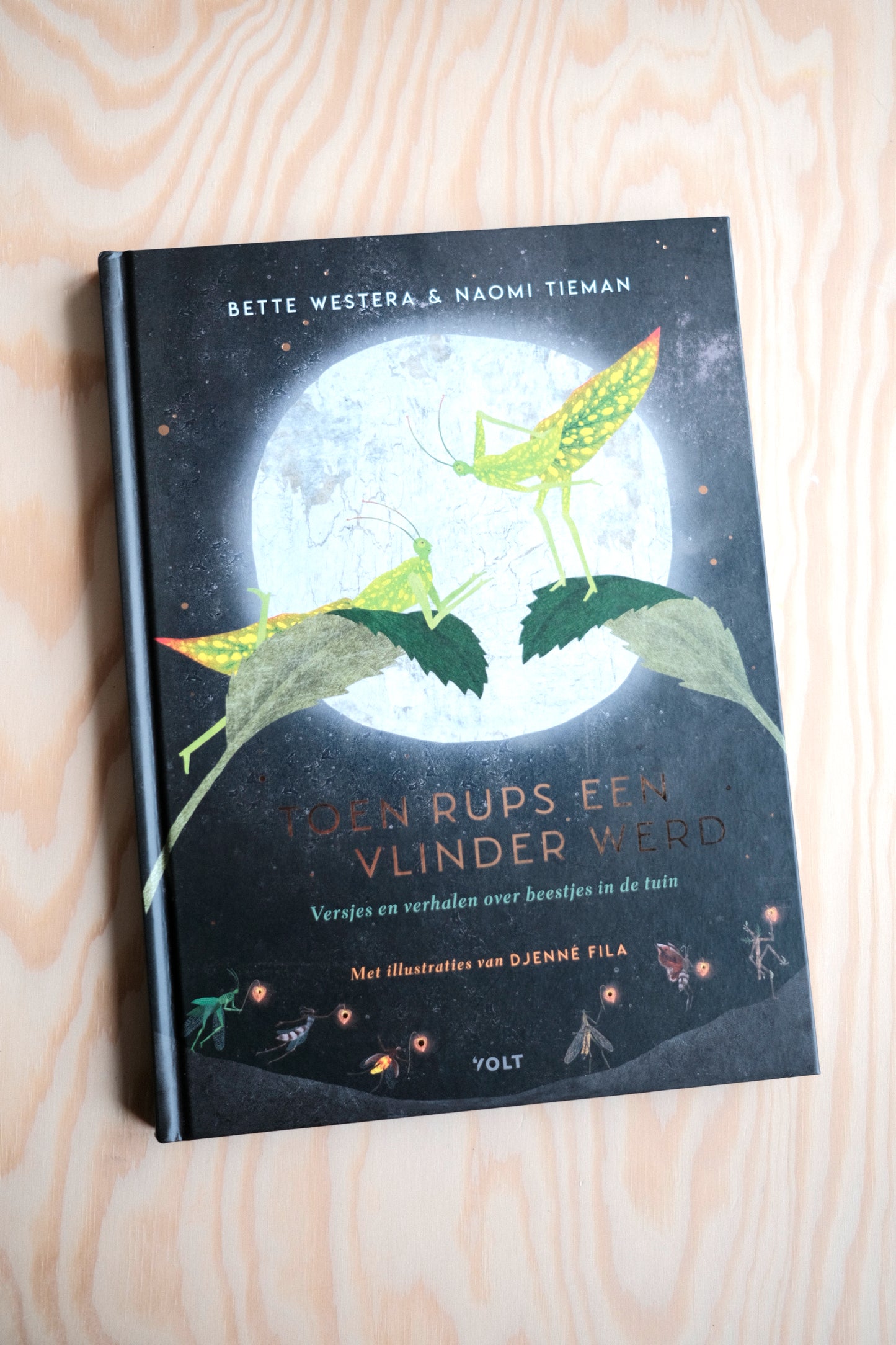 Toen Rups Een Vlinder Werd | second-hand