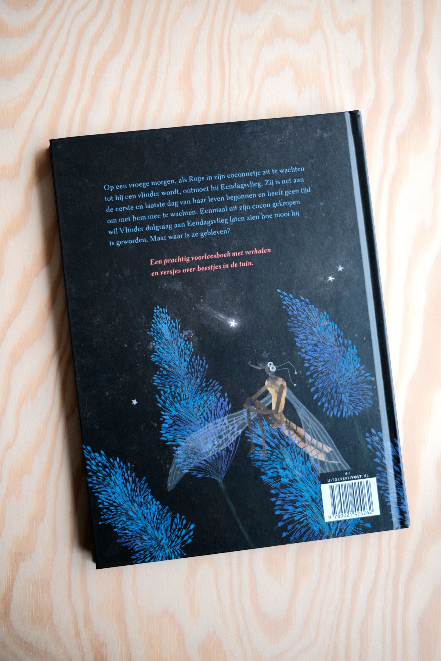 Toen Rups Een Vlinder Werd | second-hand